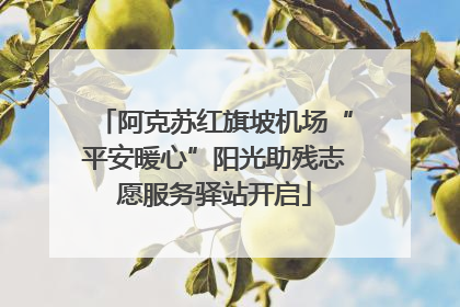 阿克苏红旗坡机场“平安暖心”阳光助残志愿服务驿站开启