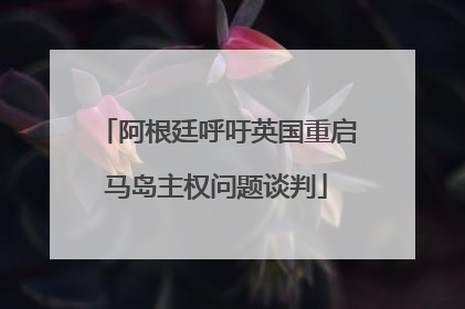阿根廷呼吁英国重启马岛主权问题谈判