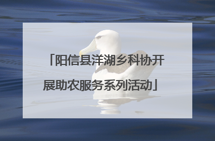 阳信县洋湖乡科协开展助农服务系列活动