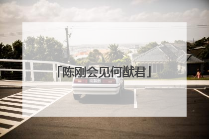 陈刚会见何猷君