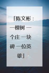 陈文彬：一棵树 一个庄 一块碑 一位英雄