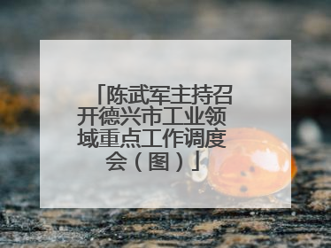 陈武军主持召开德兴市工业领域重点工作调度会（图）