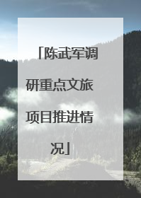 陈武军调研重点文旅项目推进情况
