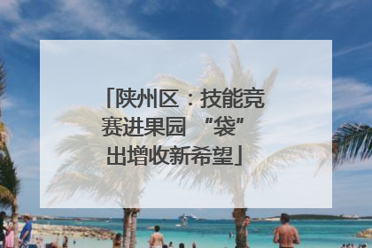 陕州区：技能竞赛进果园 “袋”出增收新希望