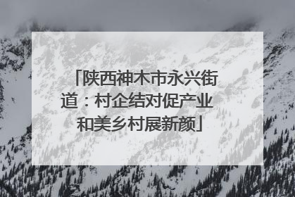 陕西神木市永兴街道：村企结对促产业 和美乡村展新颜