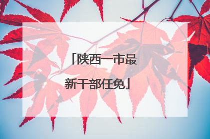 陕西一市最新干部任免