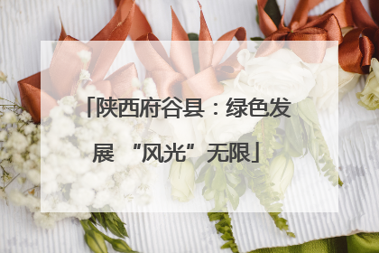 陕西府谷县：绿色发展 “风光”无限