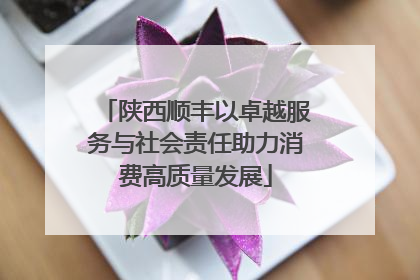 陕西顺丰以卓越服务与社会责任助力消费高质量发展