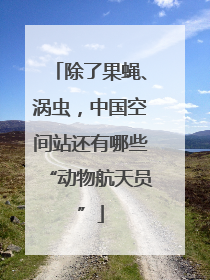 除了果蝇、涡虫，中国空间站还有哪些“动物航天员”
