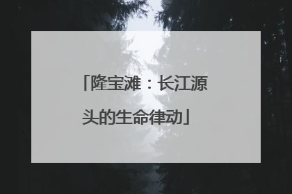 隆宝滩：长江源头的生命律动