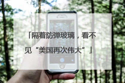 隔着防弹玻璃，看不见“美国再次伟大”