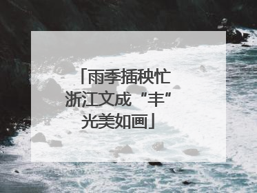 雨季插秧忙 浙江文成“丰”光美如画