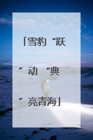 雪豹“跃”动 “典”亮青海