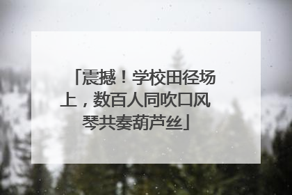 震撼！学校田径场上，数百人同吹口风琴共奏葫芦丝