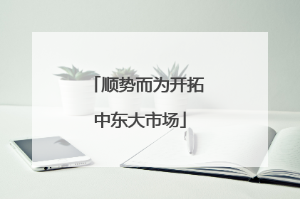 顺势而为开拓中东大市场
