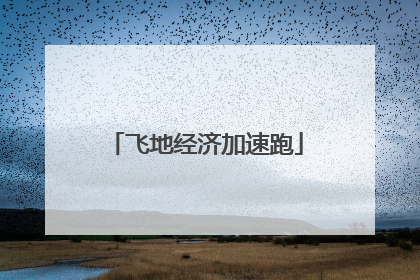 飞地经济加速跑