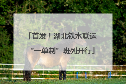 首发！湖北铁水联运“一单制”班列开行