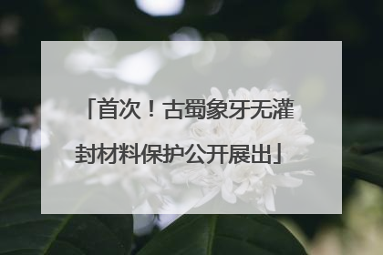 首次！古蜀象牙无灌封材料保护公开展出