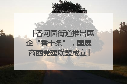 香河园街道推出惠企“香十条”，国展商圈党建联盟成立