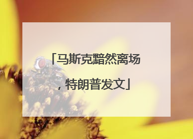 马斯克黯然离场，特朗普发文