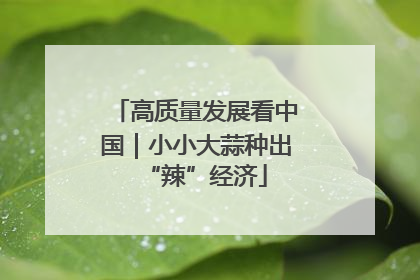 高质量发展看中国｜小小大蒜种出“辣”经济