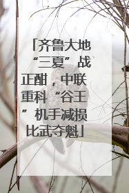 齐鲁大地“三夏”战正酣，中联重科“谷王”机手减损比武夺魁