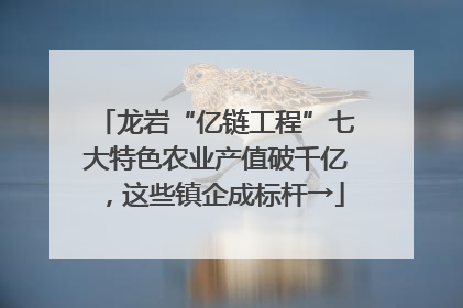 龙岩“亿链工程”七大特色农业产值破千亿，这些镇企成标杆→