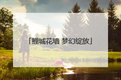 鲤城花墙 梦幻绽放