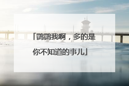 鹮鹮我啊，多的是你不知道的事儿