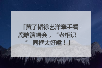 黄子韬徐艺洋牵手看鹿晗演唱会，“老相识” 同框太好嗑！