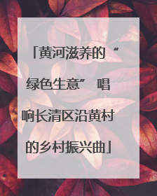 黄河滋养的“绿色生意” 唱响长清区沿黄村的乡村振兴曲