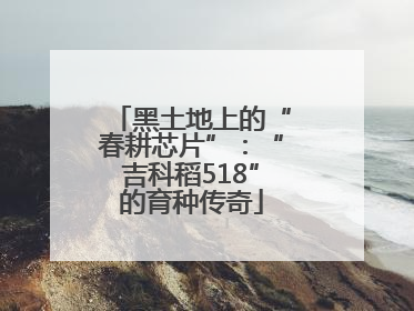 黑土地上的“春耕芯片”：“吉科稻518”的育种传奇