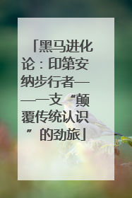 黑马进化论：印第安纳步行者——一支“颠覆传统认识”的劲旅