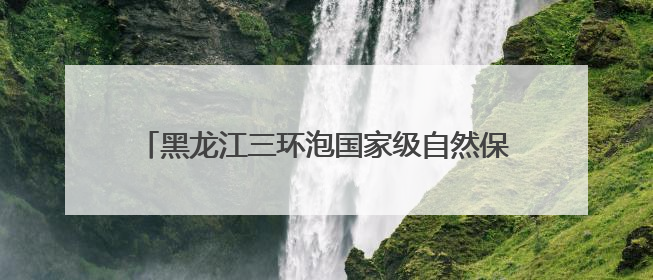 黑龙江三环泡国家级自然保护区：候鸟“带娃”添生机
