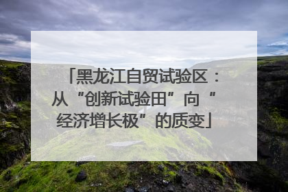 黑龙江自贸试验区：从“创新试验田”向“经济增长极”的质变