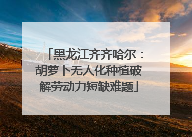 黑龙江齐齐哈尔：胡萝卜无人化种植破解劳动力短缺难题