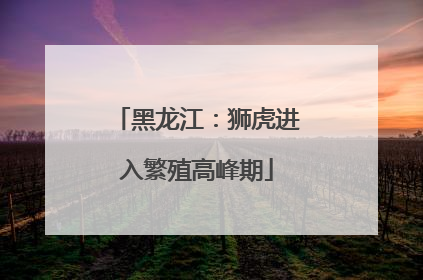 黑龙江：狮虎进入繁殖高峰期