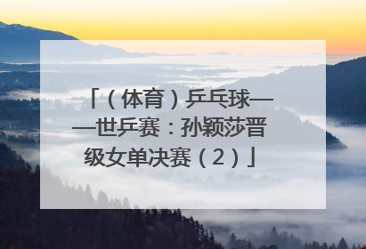 （体育）乒乓球——世乒赛：孙颖莎晋级女单决赛（2）