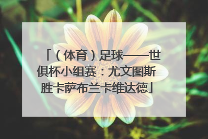 （体育）足球——世俱杯小组赛：尤文图斯胜卡萨布兰卡维达德