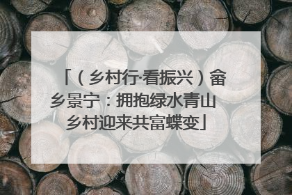 （乡村行·看振兴）畲乡景宁：拥抱绿水青山 乡村迎来共富蝶变