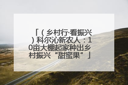 （乡村行·看振兴）科尔沁新农人：10亩大棚起家种出乡村振兴“甜蜜果”