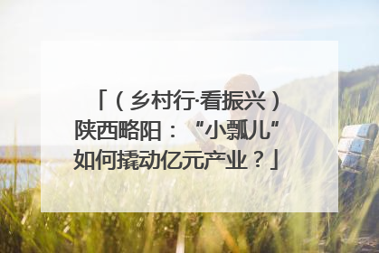 （乡村行·看振兴）陕西略阳：“小瓢儿”如何撬动亿元产业？