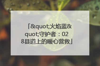 "火焰蓝"守护者：028县道上的暖心营救