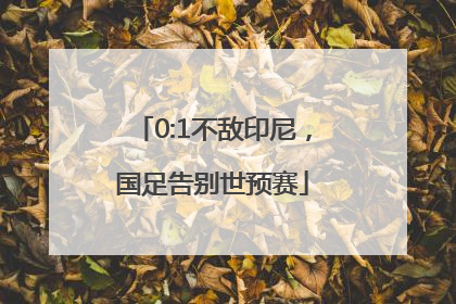 0:1不敌印尼，国足告别世预赛
