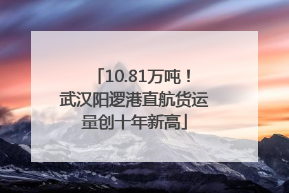 10.81万吨！武汉阳逻港直航货运量创十年新高