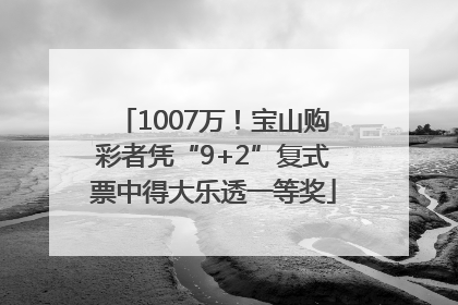1007万！宝山购彩者凭“9+2”复式票中得大乐透一等奖