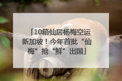 10箱仙居杨梅空运新加坡！今年首批“仙梅”抢“鲜”出国