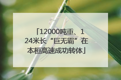 12000吨重、124米长“巨无霸”在本桓高速成功转体