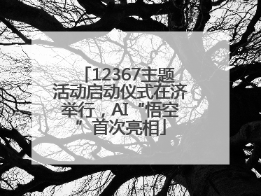 12367主题活动启动仪式在济举行，AI“悟空”首次亮相