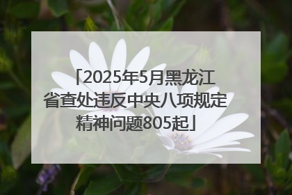 2025年5月黑龙江省查处违反中央八项规定精神问题805起